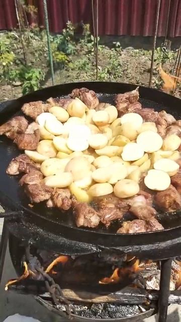 КАРТОШКА С МЯСОМ НА КОСТРЕ(2)
