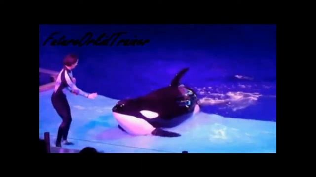 ~|*|Malia*** Wild Flower |*|~ [\]Request[\]
