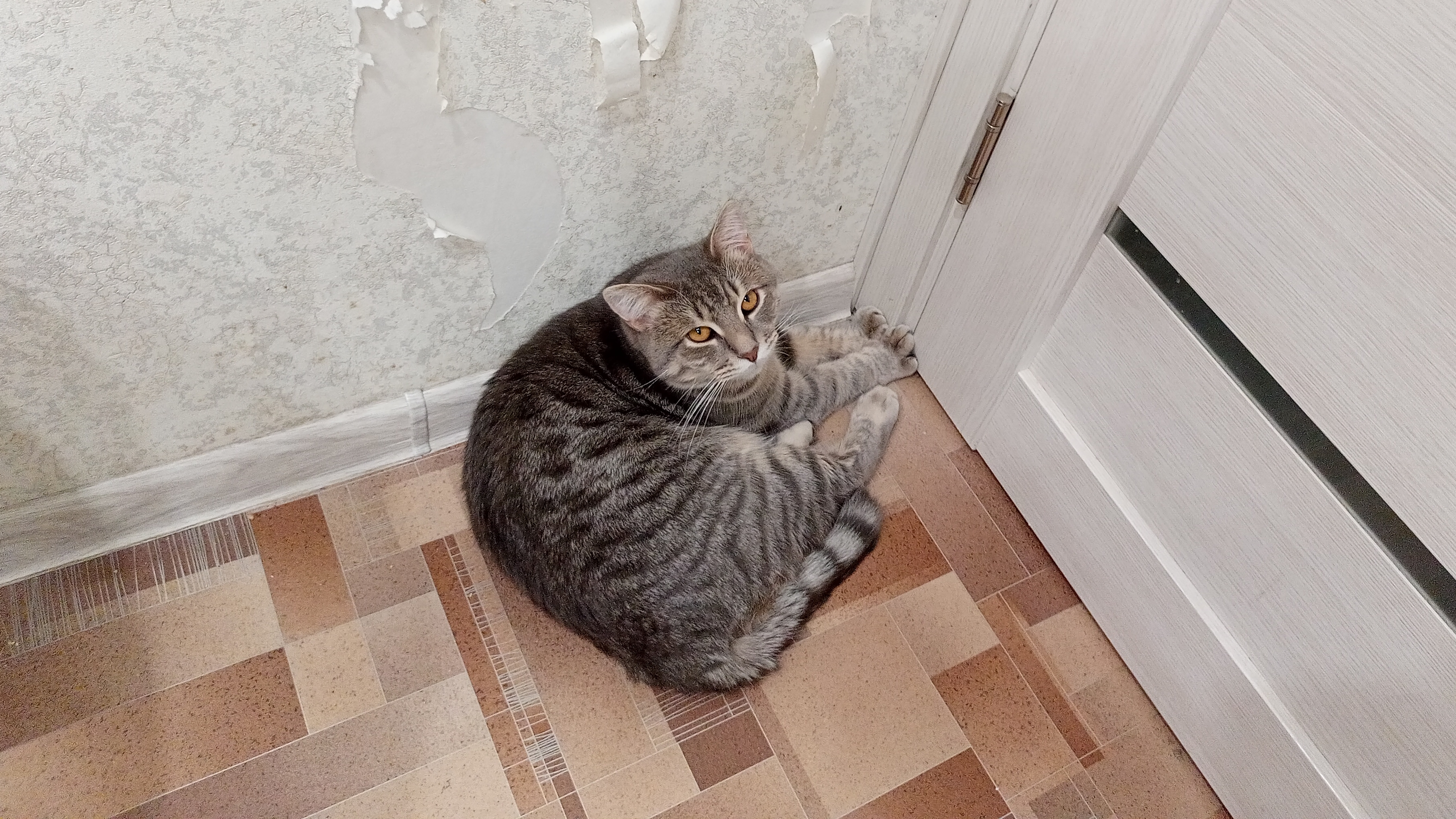мечтатель в деревне