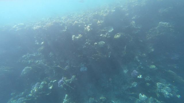 GH013153