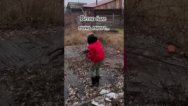 Субботник
