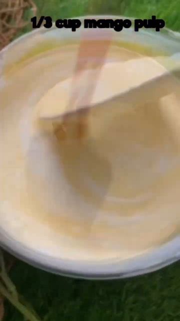 MANGO MOUSSE | MANGO DELIGHT | MANGO SEASON