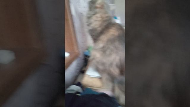 1000001361.mp4