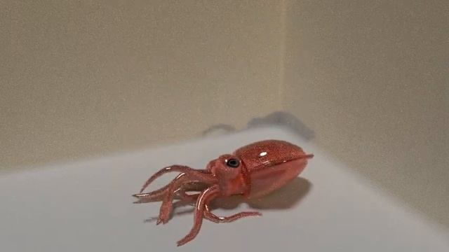 Blender: Soft Body Physics testing