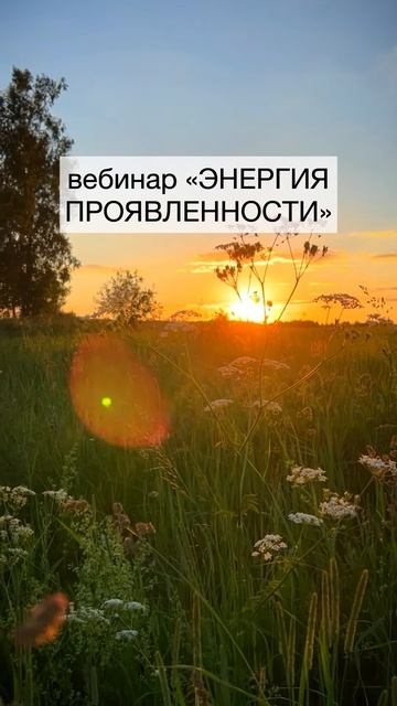 Как проявить себя в любой сфере и добиться успеха Ответ в комментарии.