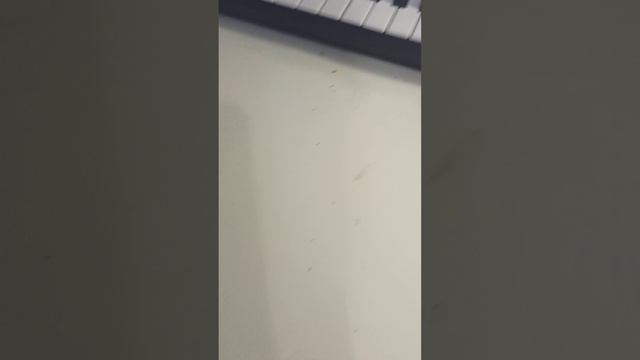 VID_20250302_190509.mp4