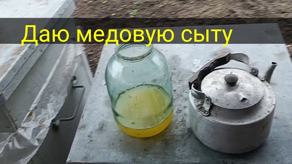 Будут ли брать медовую сыту.