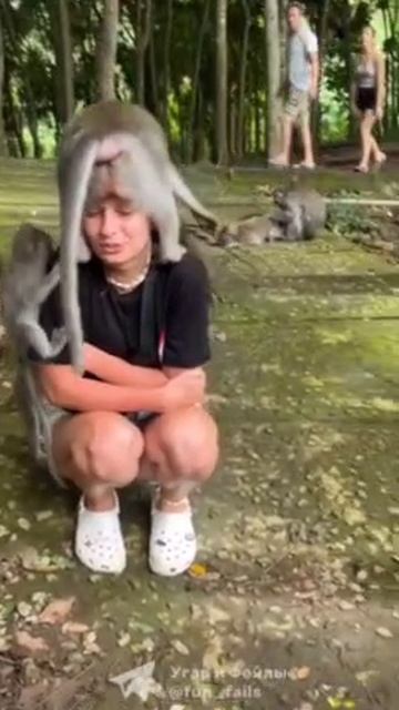 Классная шапка получилась🤣😂