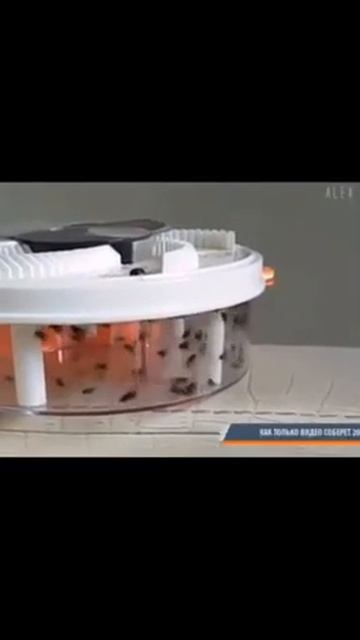 Электрическая мухоловка