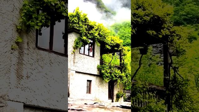 Всё зафиксировано!