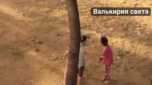 VID_20250319_233127_047.mp4