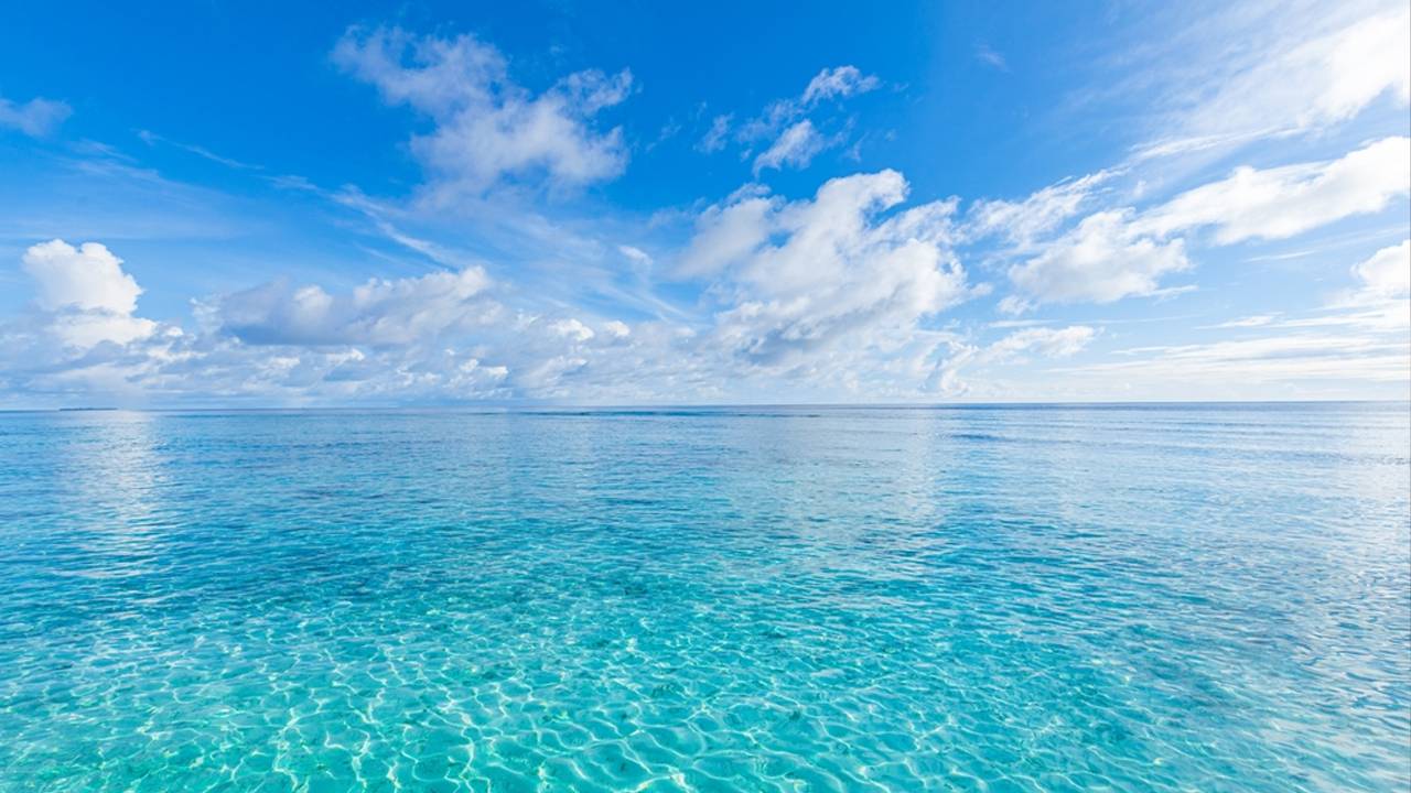 Успокаивающие звуки океана для расслабления и концентрации 🌊🧘♀️