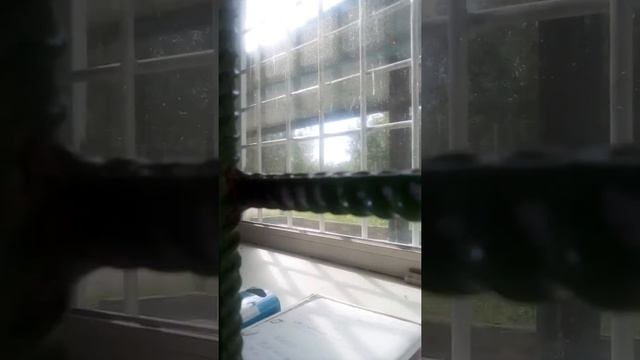Спец приемник в закамске