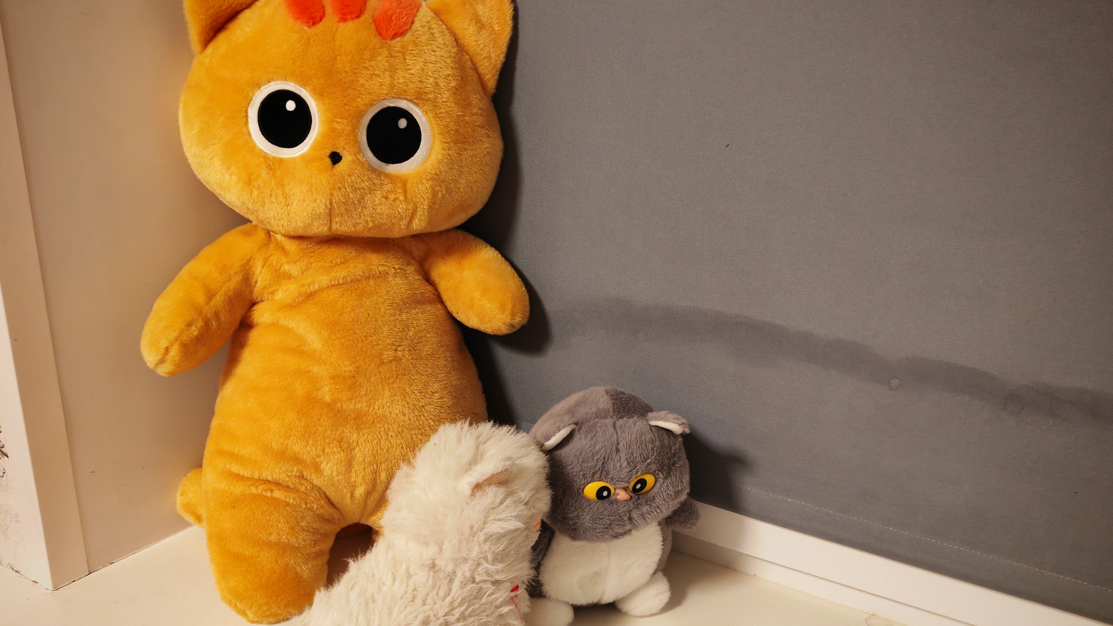 везде кошки
