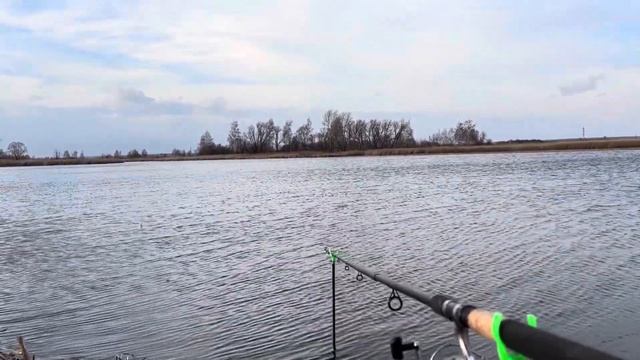 Ловля карася на реке в марте по холодной воде #карась #карась_на_фидер #рыбалка #fishing