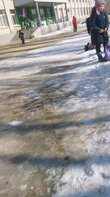 VID_20240229_121921.mp4