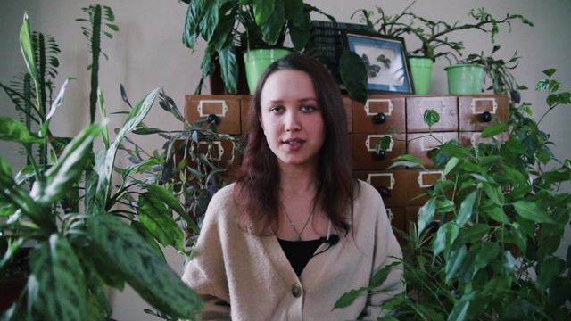 Видеовизитка Кузнецовой Дарьи к проекту "Освещенные окна" для РосМолодежь.Гранты