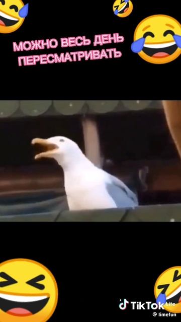 1000008756.mp4