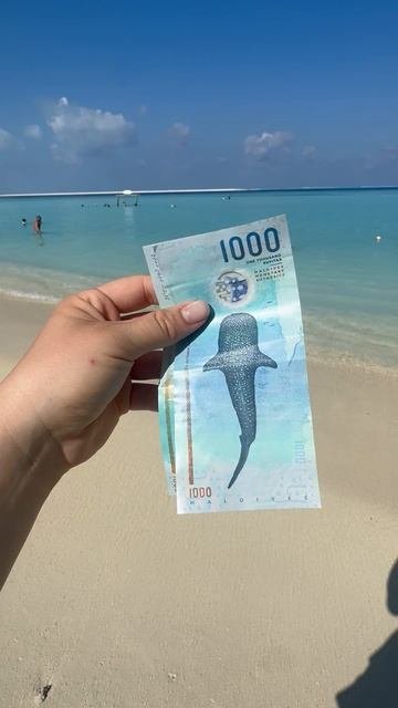 Деньги на Мальдивах
