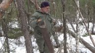 Весенняя охота 2024. Погода чудит.