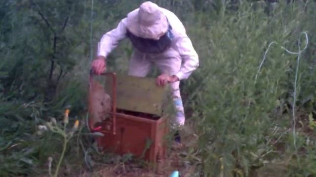 Рой Как снять с высоты