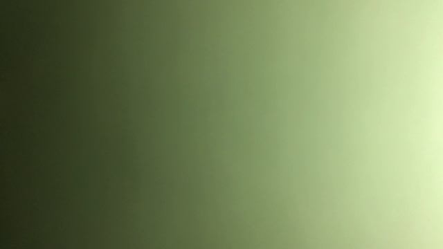 Двадцать лет спустя