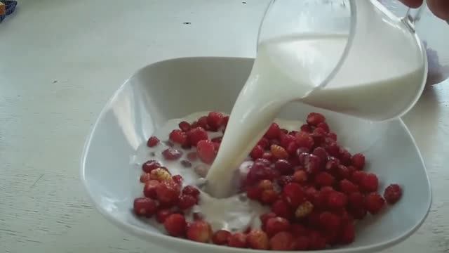 Нас манит запах Родины