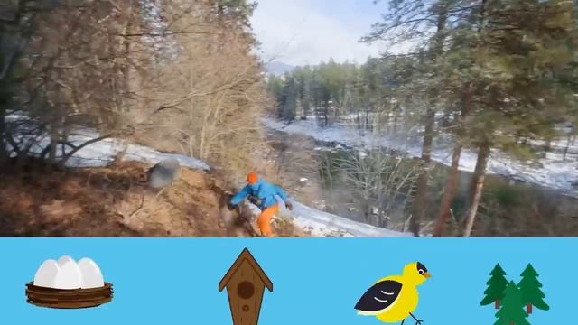 Блиппи (Blippi) -  Блиппи изучает птиц - Новая Серия✨   Обучающие видео для детей   Blippi Russian
