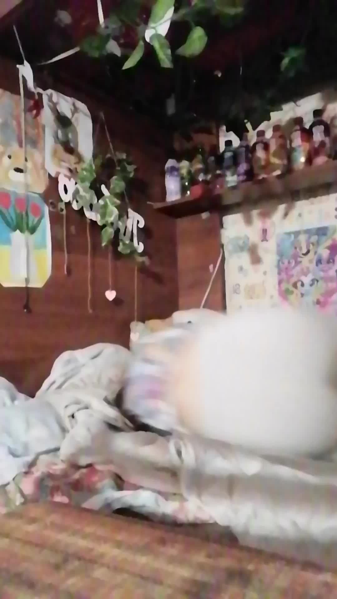 анзвщевз