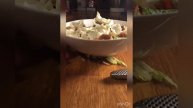 Как приготовить быстро салат из броколли