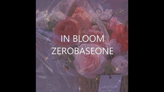 IN BLOOM / ZEROBASEONE (VER AESTHETIC)