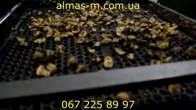 Машина для калибровки грецкого ореха 2015