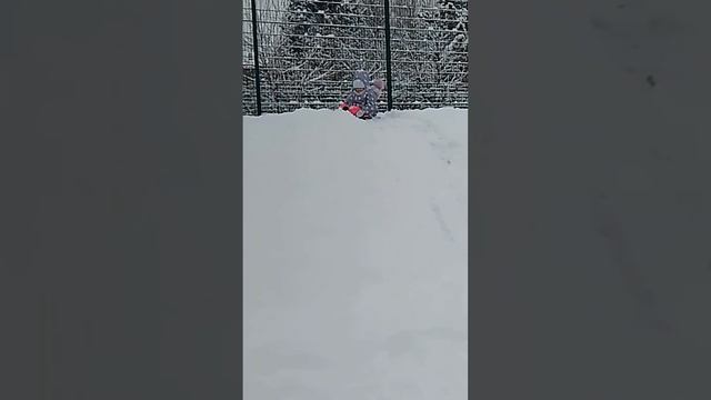 Снежно❄⛄