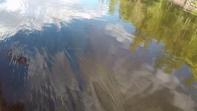 Трое в лодке, не считая собаки