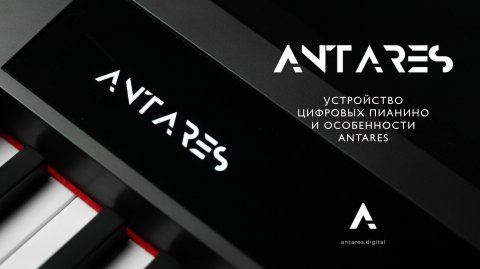 Как работает цифровое пианино Antares?