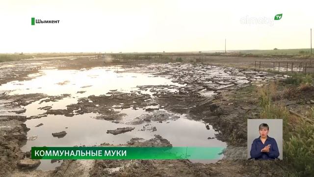 Зловонный водоем: жители Шымкента просят власти избавить их от пруда с нечистотами