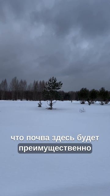 Обзор участка 161
