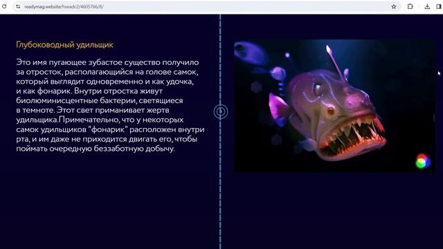 скринкаст лонгрида про обитателей морских глубин