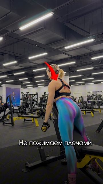 Y подъем рук с упором о скамью