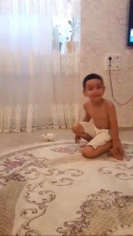 Маленький карликовый кролик и Рауль