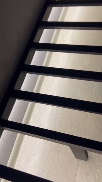 VID_20250319_160645_575.mp4