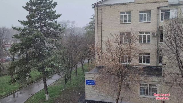 19.03.2025. Мартовский снежочек. Три дня назад было до +31°.