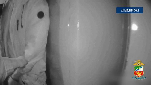Транспортные полицейские Алтая возбудили уголовные дела в отношении мужчины по факту хулиганства