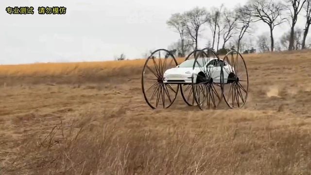 Не показывайте Илону
