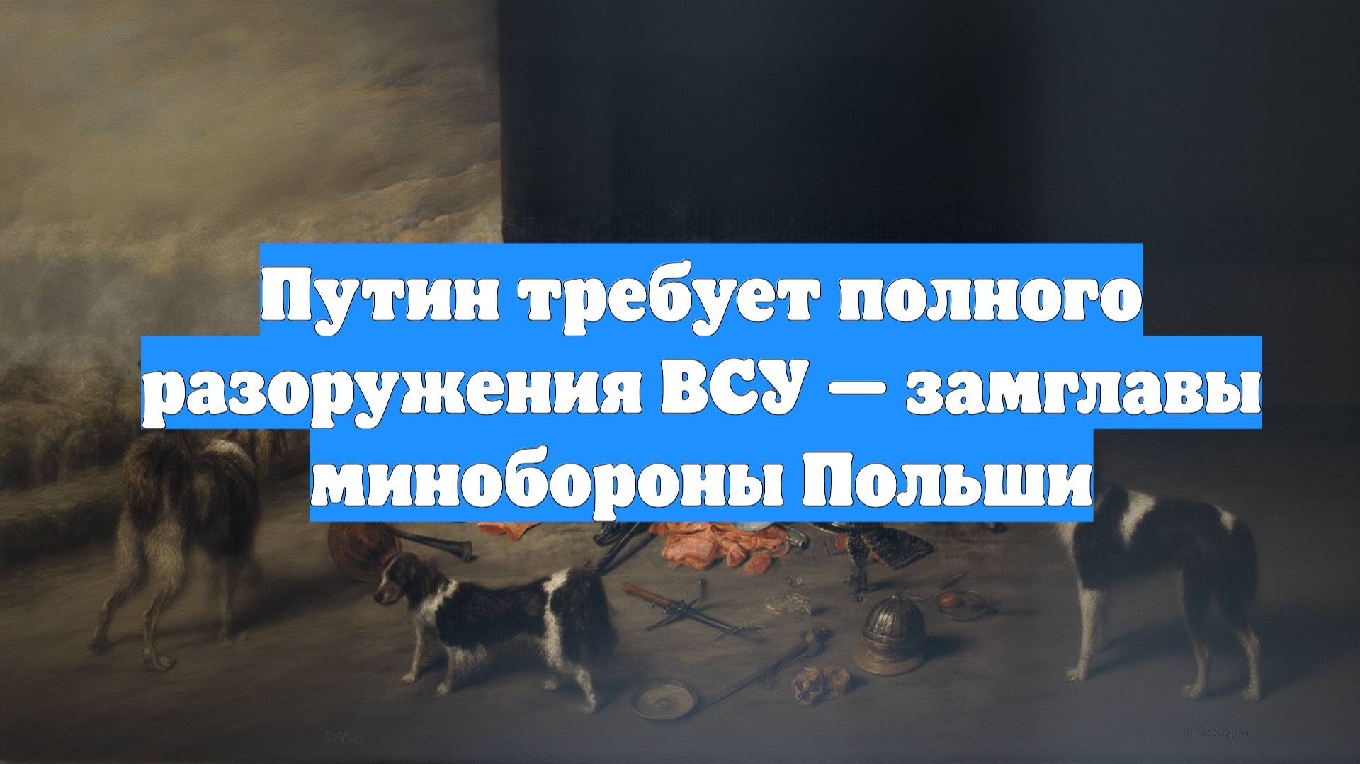 Путин требует полного разоружения ВСУ — замглавы минобороны Польши