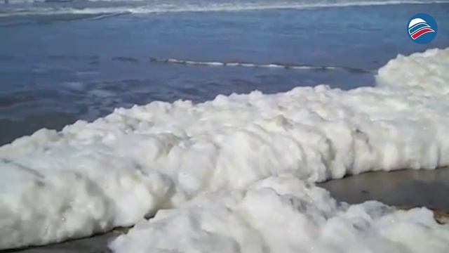 Тайна морской пены: более 100 серферов страдают от отравления в Австралии