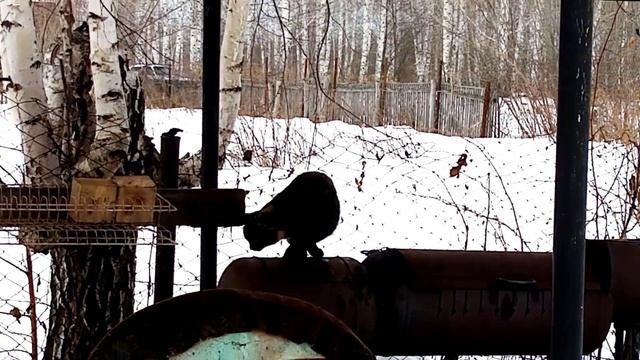 Экстренное, но временное расстование!