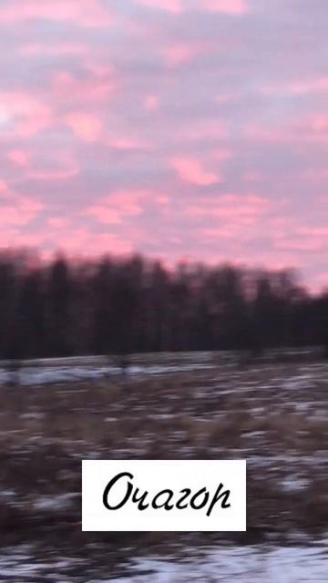 Видео   зачаровывает, как   и  очагор! #очагор #здоровье #зима #новыйгод #правильноепитание