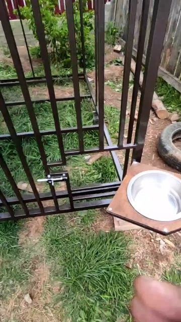 VID_20250314_224024_605.mp4