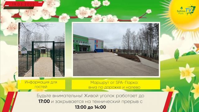 Прямое включение. Кролик #shorts
